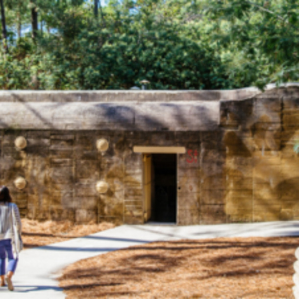 Le Blockhaus du Phare : mémoire enfouie sous les pins